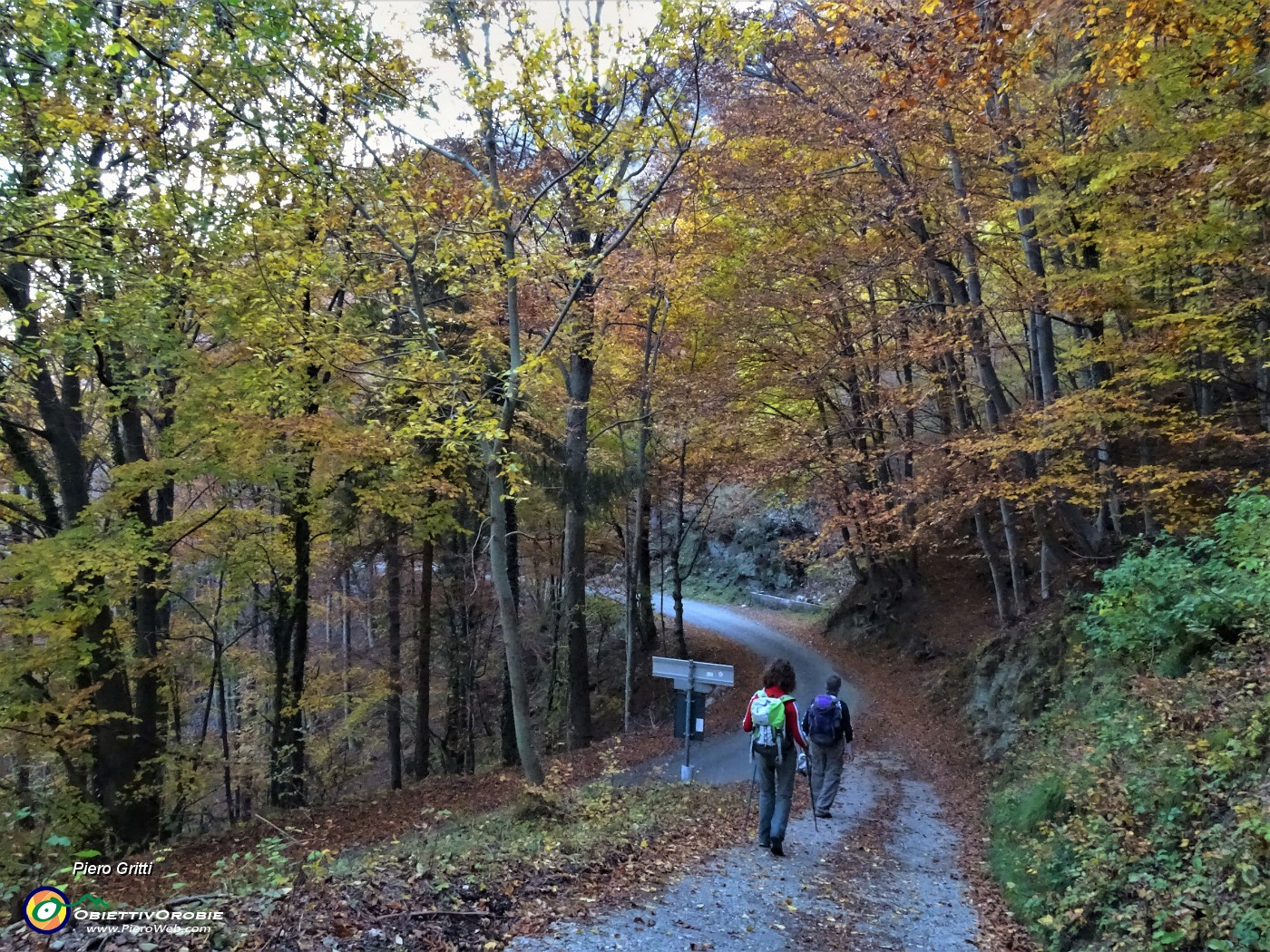 95 Splendidi colori d'autunno anche sulla strada del rientro.JPG